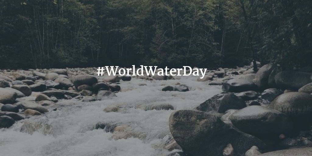 BioPathSolution's tweet image. Happy #WorldWaterDay from BioPath Solutions