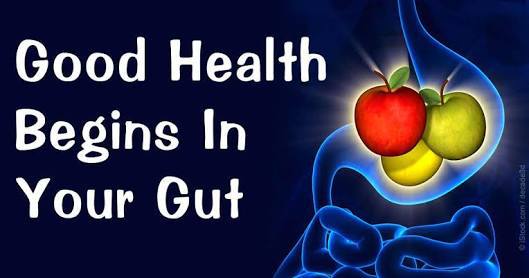 drsujatanaik's tweet photo. Refining your ‘gut’ instinct https://t.co/2JEMpPWls0 https://t.co/aty6G7Ouwu