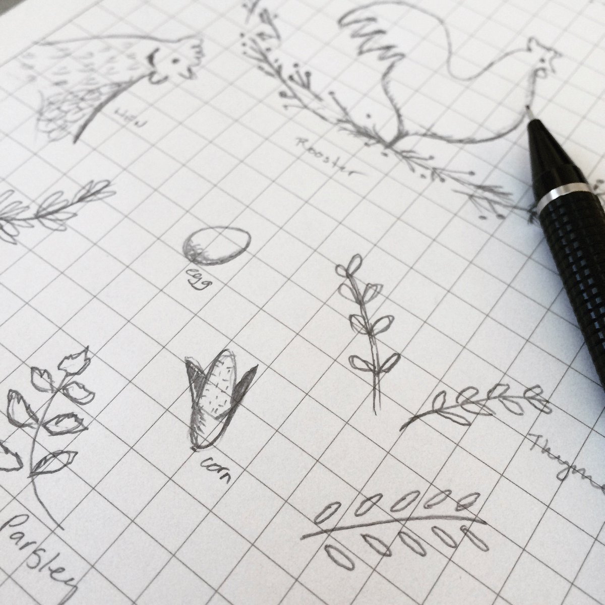 mapleandcotton's tweet photo. Sketching a few ideas for an upcoming stamp collection. #chickens https://t.co/uAx2nEKBAa