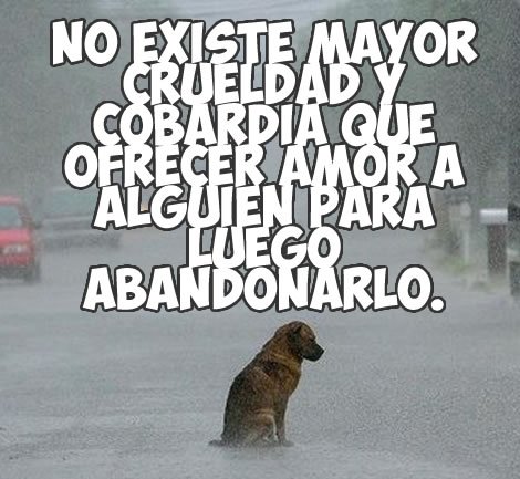 CanalAnimal's tweet photo. Se agradece ReTweet!! Por favor compartir y difundir!! https://t.co/5WLxErxdGn