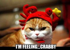 HuliaJill's tweet image. Mood. #PTSchoolProblems #Me #Everyday