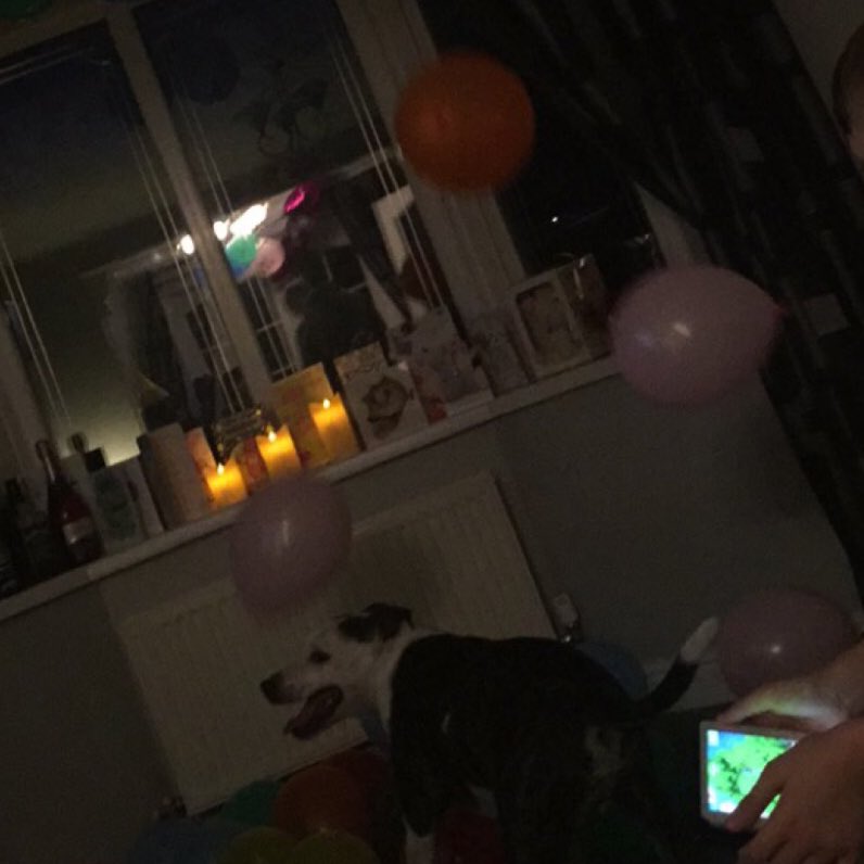 thelifeoftroy's tweet photo. Party party https://t.co/H1eLZofrlG