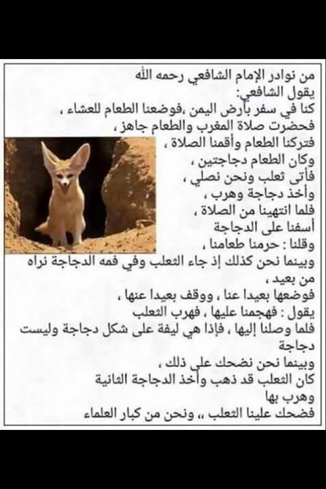 adham14581's tweet photo. https://t.co/tr03a76NRo