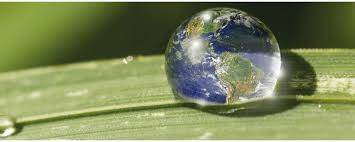Giamammi's tweet photo. #WaterIs too precious to waste https://t.co/tiFA1FMIfM