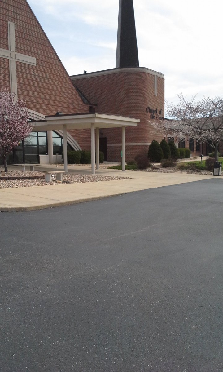 BevPiehl's tweet photo. #TreesBlooming #SpringHere @COTC_StPeters https://t.co/aUGdDxEa8m