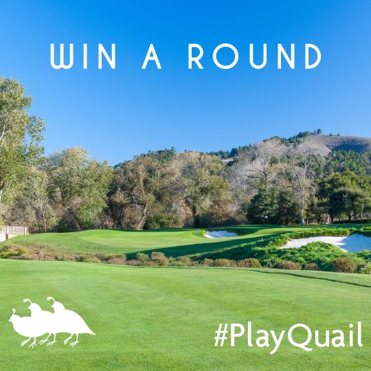 TheQuailCA's tweet photo. Head over to our Instagram (QuailLodgeCa) to find out how you can win a round at #QuailLodge #PlayQuail https://t.co/WrTLbfHTrH