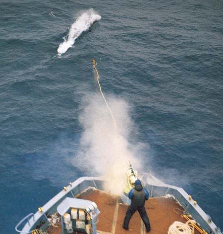 although they want you to believe death is instant for the whale, it actually isnt as seen here #OpWhales