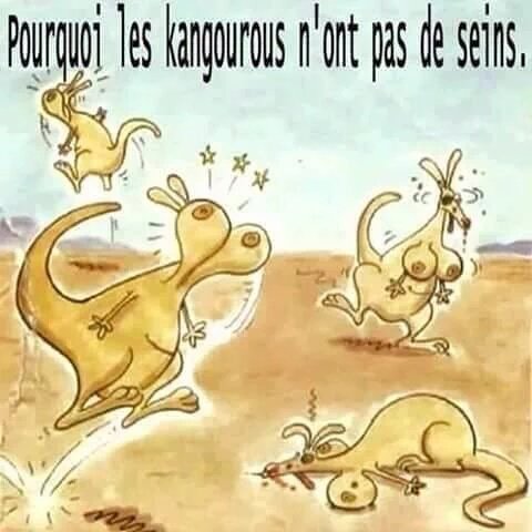 dylan_laliche's tweet photo. Tout s'explique😂😂😂 https://t.co/zYK9hanClq