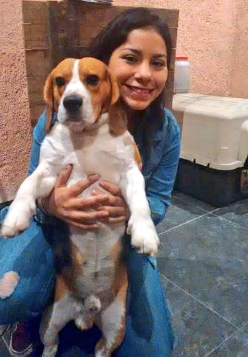 _anabarbosa's tweet photo. Te amo maximiliano 🐕👧 https://t.co/K4H46S4i5C