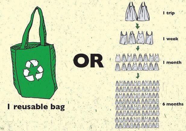 ShaunFrankson's tweet photo. The answer to paper or plastic is neither. Please retweet this great reminder of an easy green habit. https://t.co/YKvVxgr9Uc