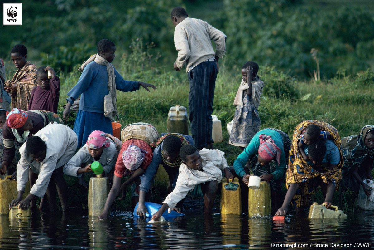 World Wildlife Fund tweet media