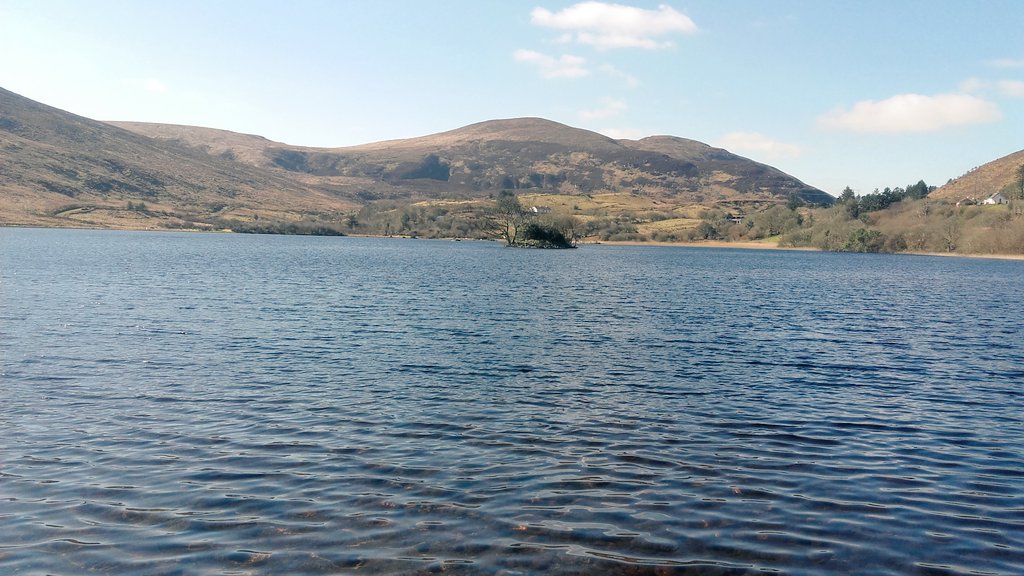 NatureIreland's tweet photo. https://t.co/mP2IFWZa52