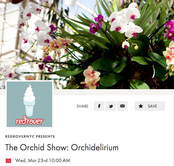 RedRover_NYC's tweet photo. Celebrate #Spring TOMORROW @NYBG's Orchid Show. https://t.co/EYsm0yg1Ll https://t.co/D9HSagCfzC
