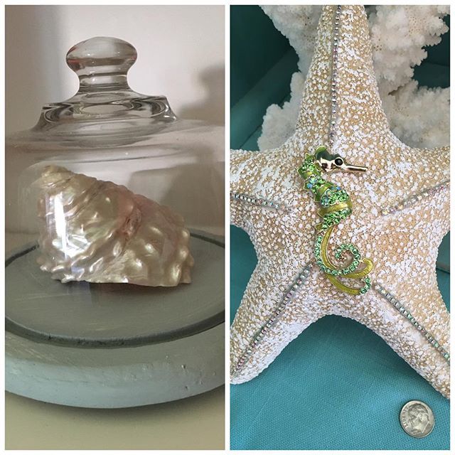 starfishstuff's tweet photo. It's #beachtime with 60 new #beach, #beachchic, #seashells, #seashellmirrors, #starfish &… https://t.co/WAiCqNK9oG https://t.co/i2P66hE3LN