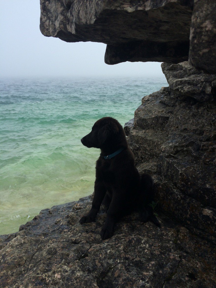 Beautiful Georgian Bay Canada. #WorldWaterDay today and every day.