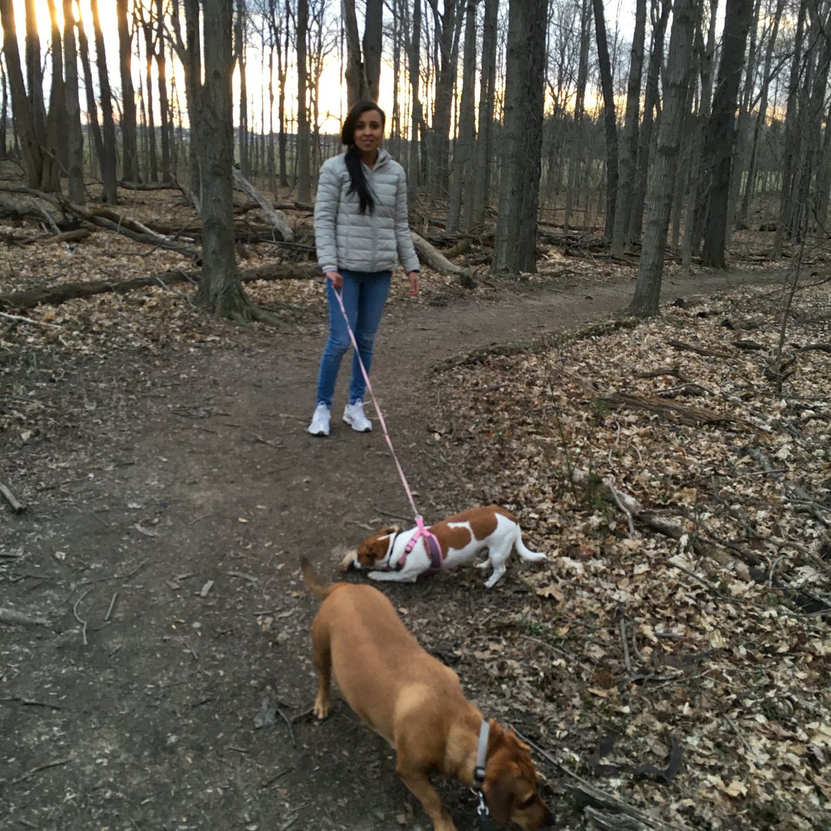 kristianesilva's tweet photo. Little hunters slowing us down. #RitcheyWoods #Step2Give https://t.co/uTlF4N3KHv