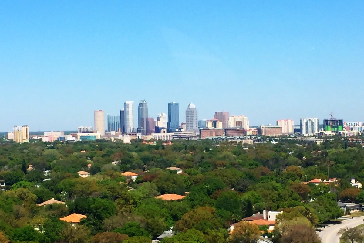 8_plamison's tweet photo. .@StormTeam8WFLA Skies so Blue!!!!
Tampa.
#rocketsummer https://t.co/3bDLx8sGkT