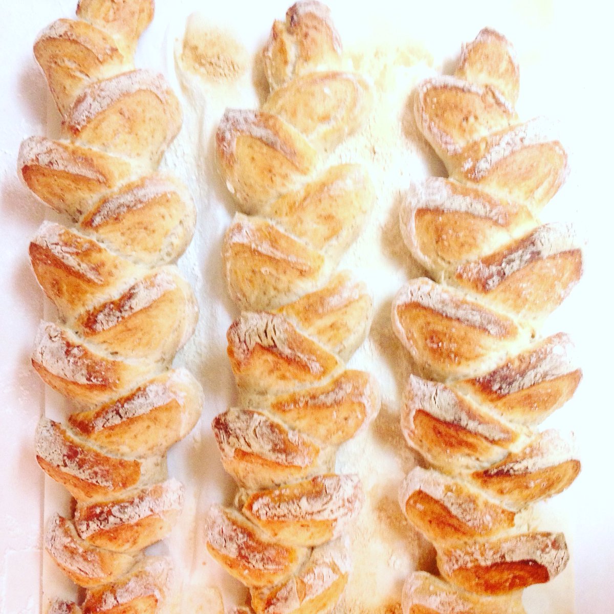 risebreads's tweet image. Pain d'Epi, or wheat stalk bread. #paindepi #rusticbread #artisanbread #risebreads