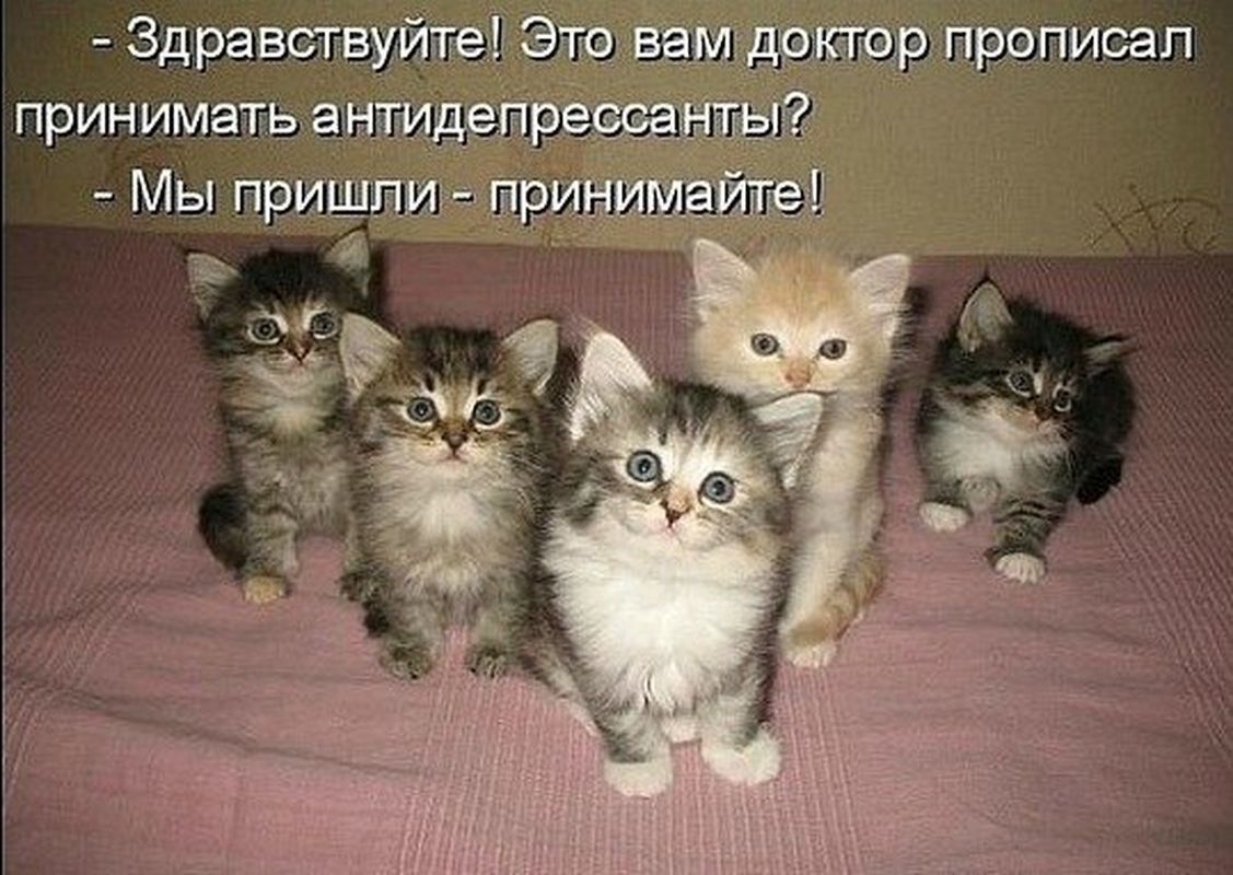 Надписью, картинки антидепрессанты со смешными
