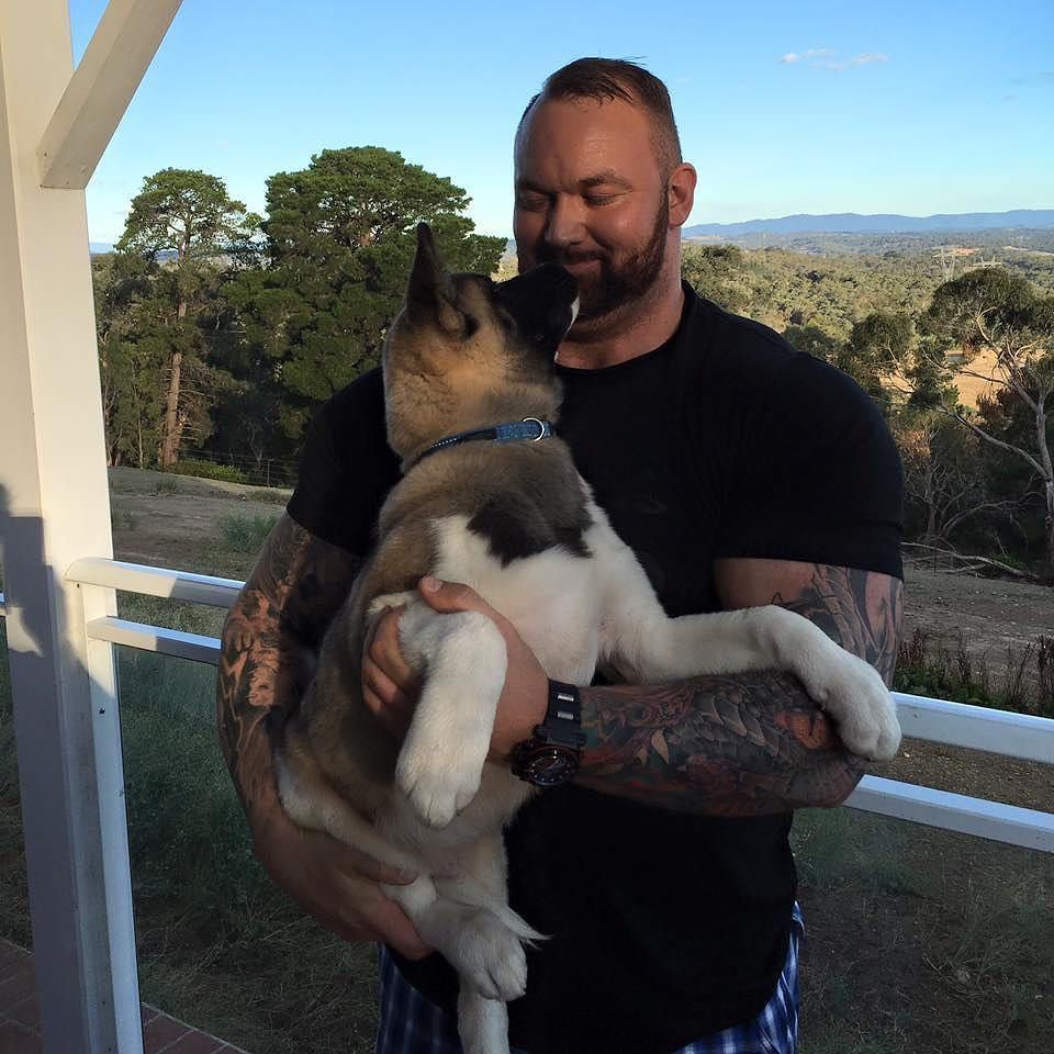 SearchBreeders's tweet photo. Puppy love according to the mountain #GoT #themountain #puppiesofthrones #dogsofinstagram #pupsofinsta #tw https://t.co/DmJMXwZ65g