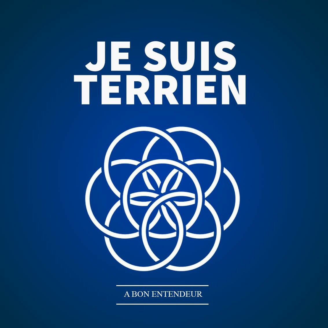 elsasspower's tweet photo. #JeSuisBelge #jesuisterrien https://t.co/6uXw8xIFhV https://t.co/97GSWHvCmQ