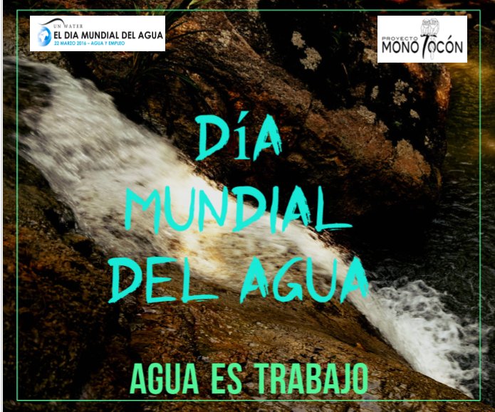 PROYECTO MONO TOCÓN tweet media