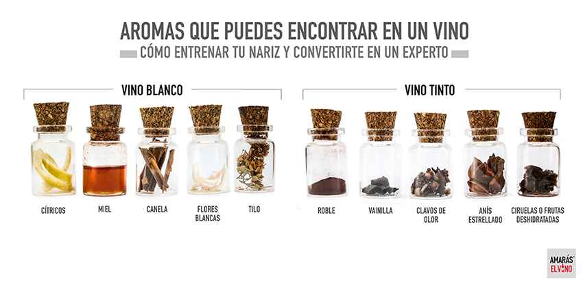 Lab_Sensorial's tweet photo. #Descriptores #aromáticos del #vino. Vía @AmarasElVino. Para que practiques cuando vayas al #vermú. https://t.co/nXzImkxrUx