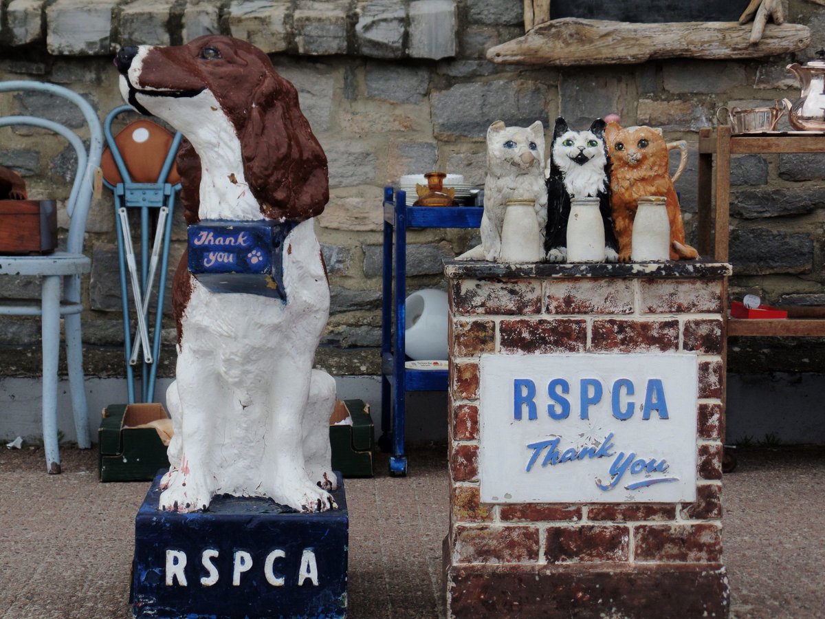 jonnorthf64's tweet image. #Vintage @RSPCA  #CollectionBoxes on #LymeRegis #Seafront @LymeRegisMuseum @DorsetMuseum