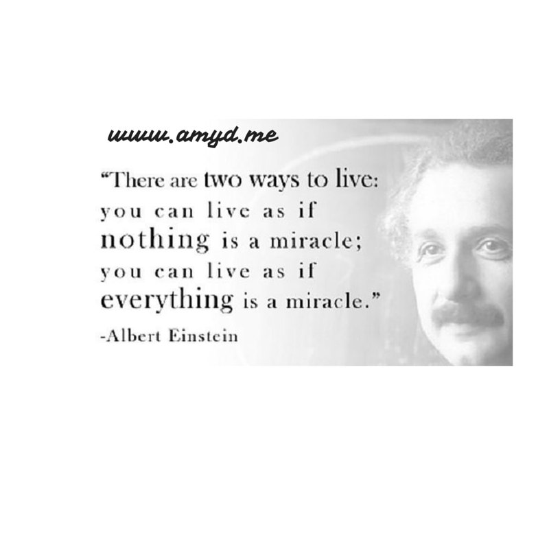 best2elite's tweet image. Be amazed by this gift we call life. Genius! #positivereflection #AmyD