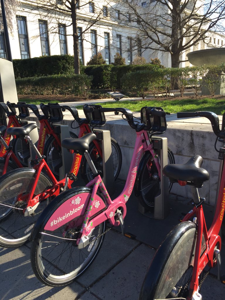 The first three stations I tried to park at were full but I finally saw #bikeinbloom