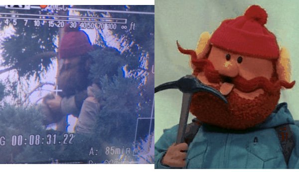 ADoherty238's tweet photo. #ManInTree Is this Yukon Cornelius????? https://t.co/S3884dj1f3