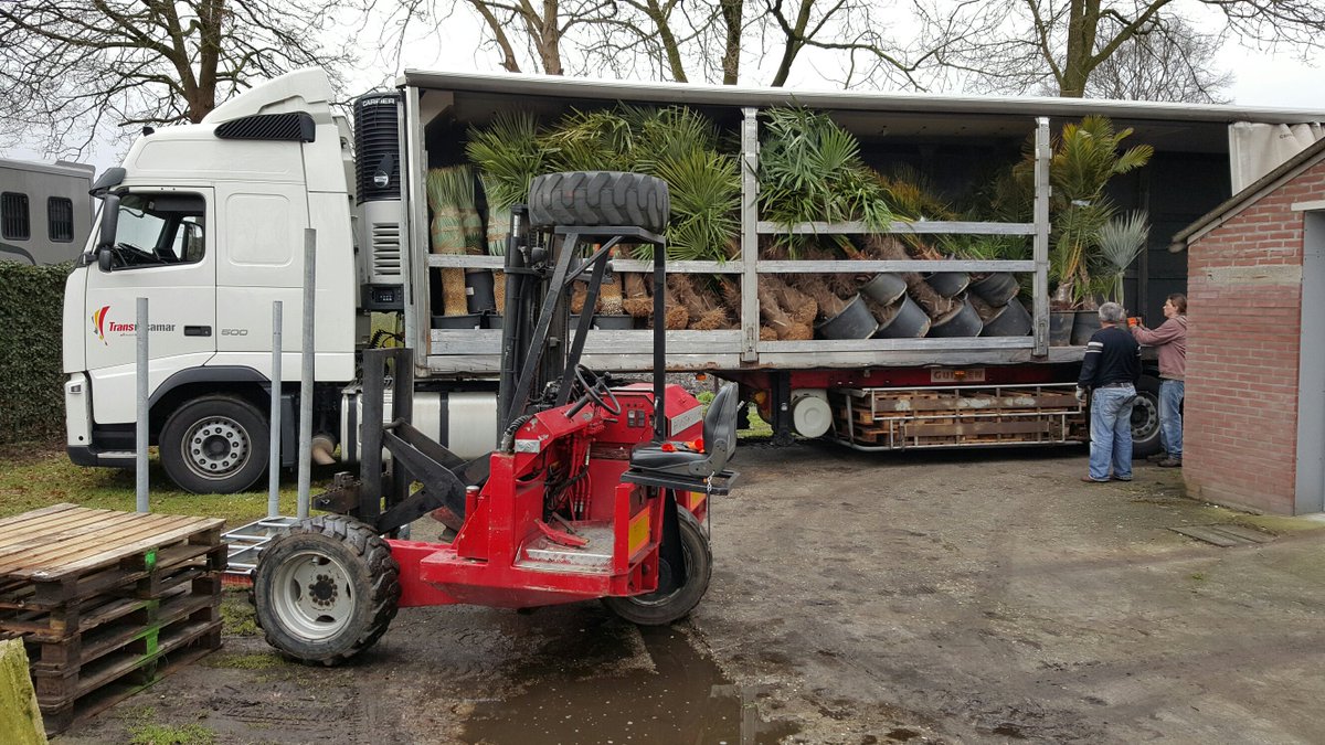 <a href="/Brabantpalm/">Brabantpalm</a>  is 2 e Paasdag geopend van 11:00 tot 15:00 #palmbomen