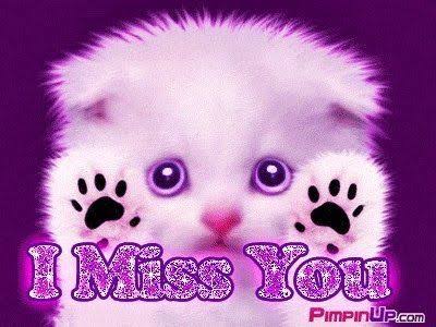 YofneJ tweet picture