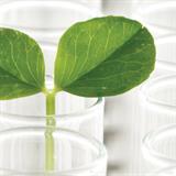 SimplyDigi_LMS's tweet image. Life science firms rely on cloud-based LMS to address compliance kmworld.com/Articles/Edito… #LMS #cloudbasedLMS