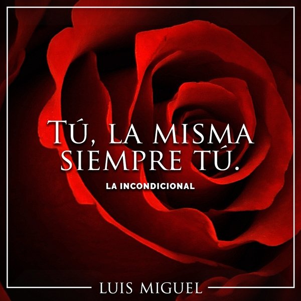 FIT10ELITE's tweet photo. @pattyluismiguel @LMXLM ¡Un tema hermoso! , para esas hermosas incondicionales 🎶👌 https://t.co/14Zwgo2YcS