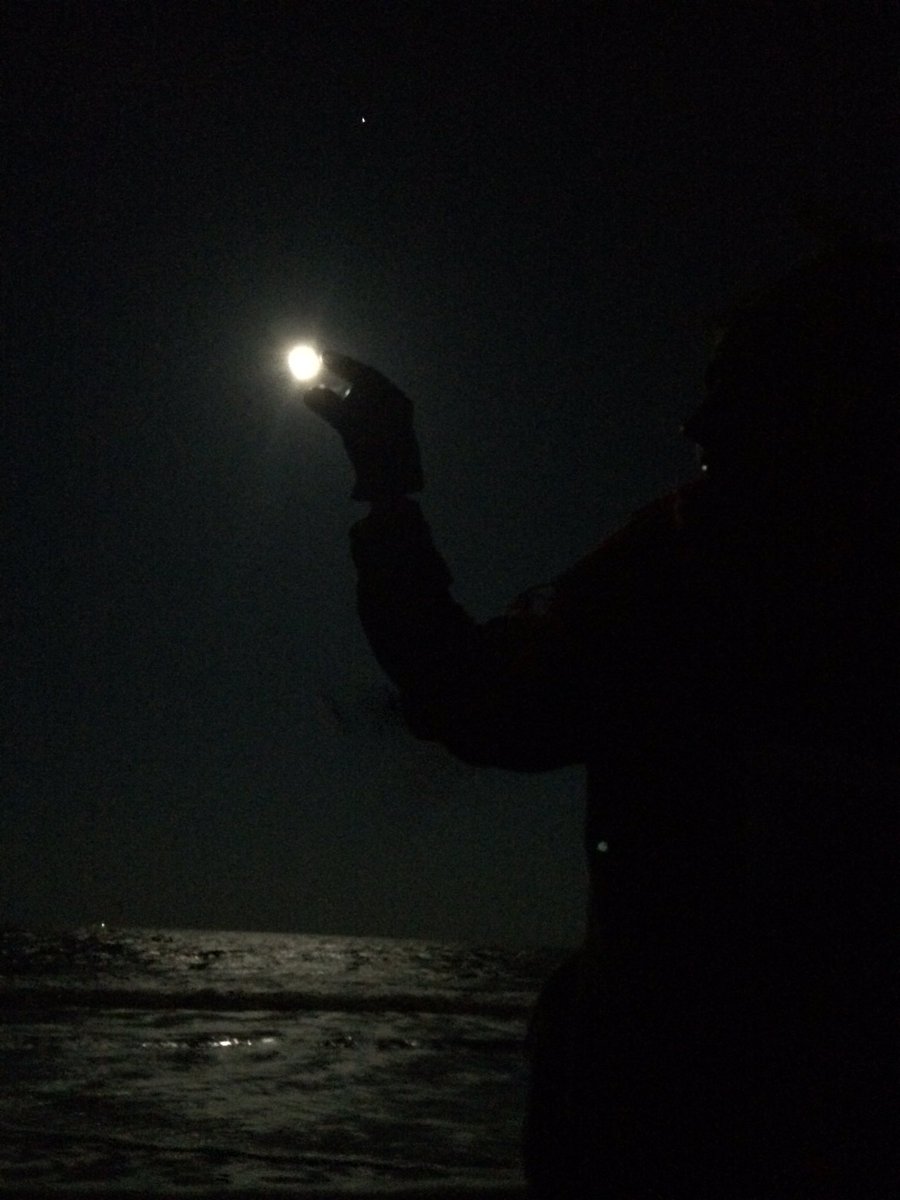 painterlypen's tweet photo. Full Worm Moon comes none too soon! Shadows danced in salty sand and I stared, smiling. 
#ShannonWillowArt https://t.co/y5ZkqznikT