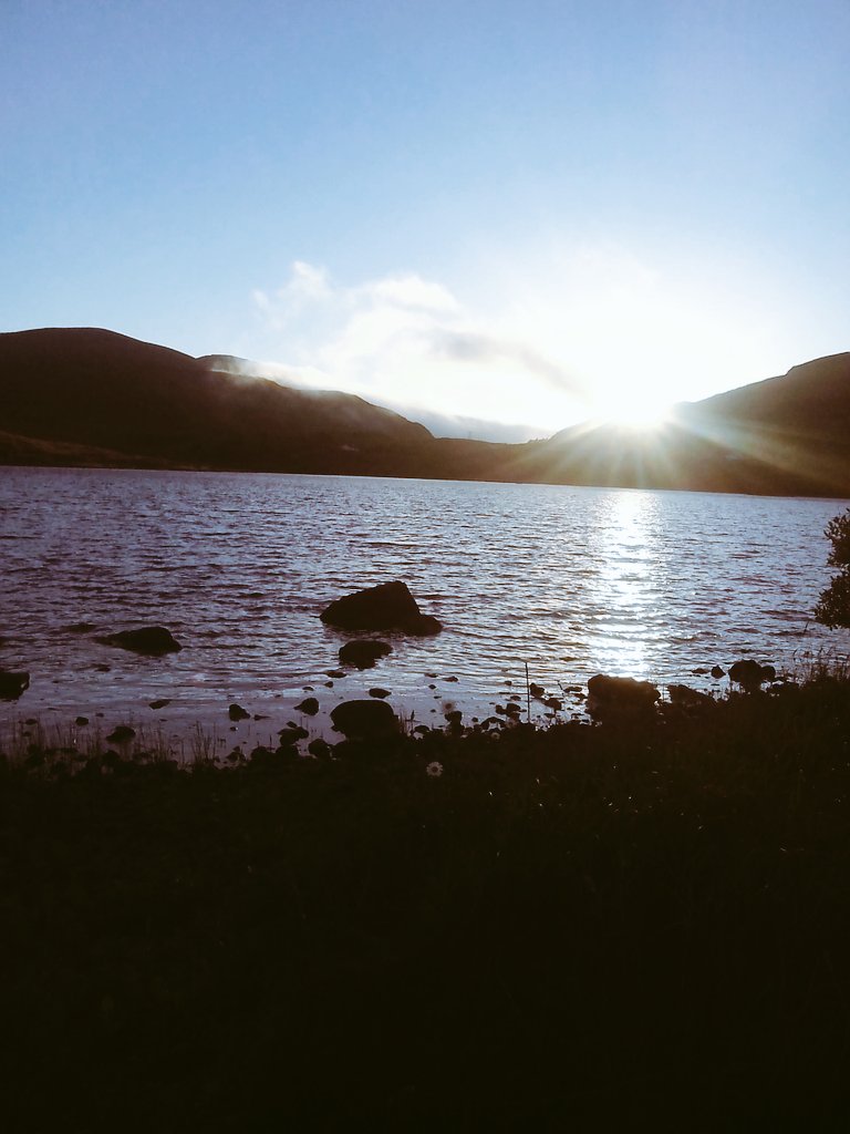 NatureIreland's tweet photo. https://t.co/x6v0ztAX50