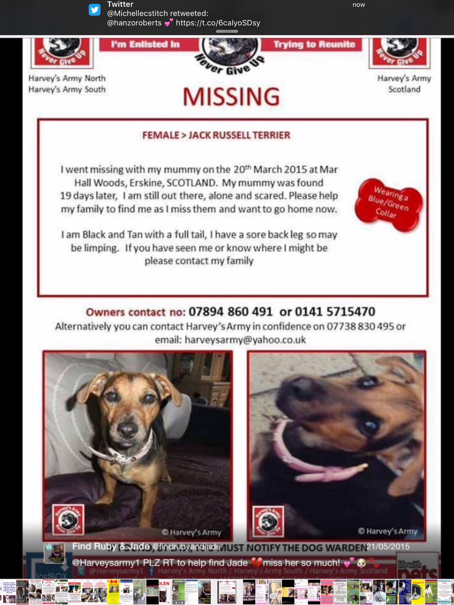 <a href="/findrubyandjade/">Find Ruby & Jade</a> 💕