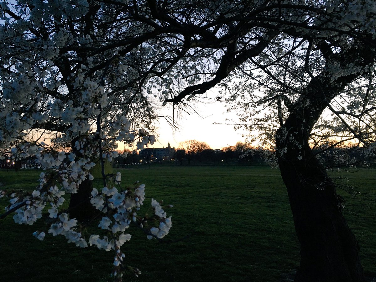 dls425's tweet photo. cool view from the park tonight #pattersonpark #baltimore #cantonmd #spring https://t.co/ckgy1mNeOh