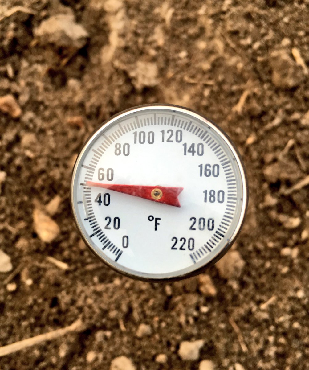 mertenmf's tweet photo. Soil temp @2" &amp; 4" today. Don't even think about it! (planting corn) https://t.co/6SZIX8kyd7