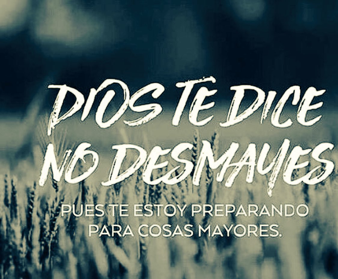 PresenciaViva's tweet photo. ¡Buenas noches! #PV #Vive2016 https://t.co/Ydk7CsekMB