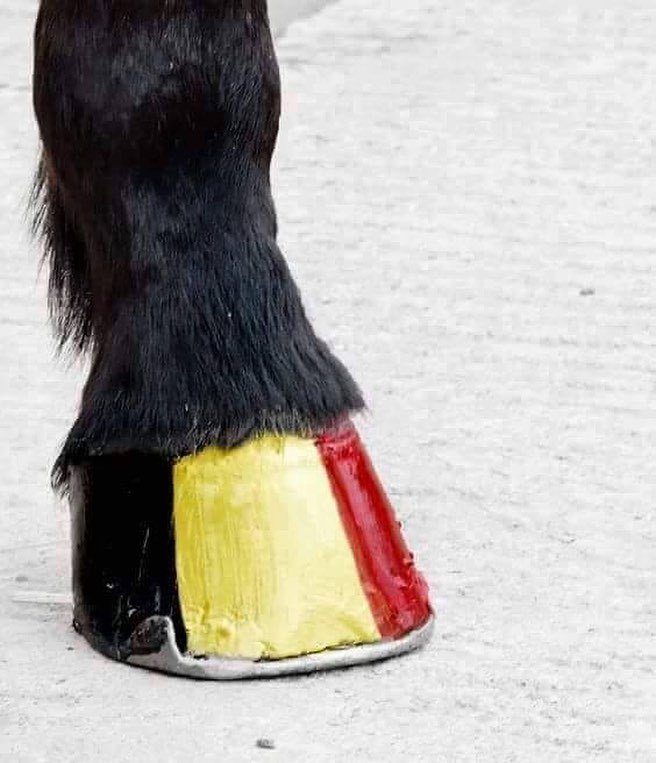 WardStables's tweet photo. #prayforourworld #wardstables https://t.co/qNGUAhiwij https://t.co/0szIeXHcEH