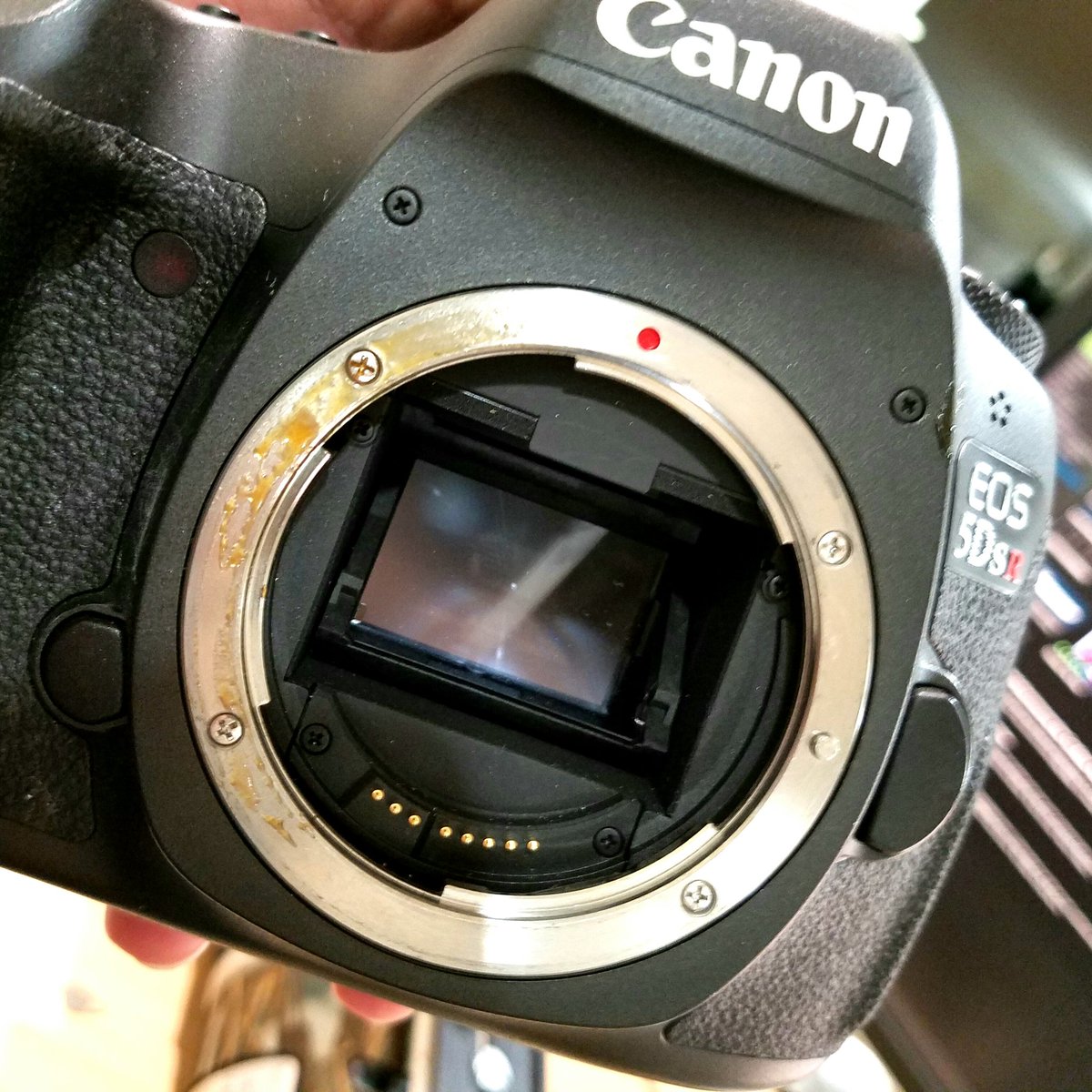 tonynorthrup's tweet photo. Why yes, that is duck sauce on my 5DS-R. https://t.co/o1c6oXTeIr