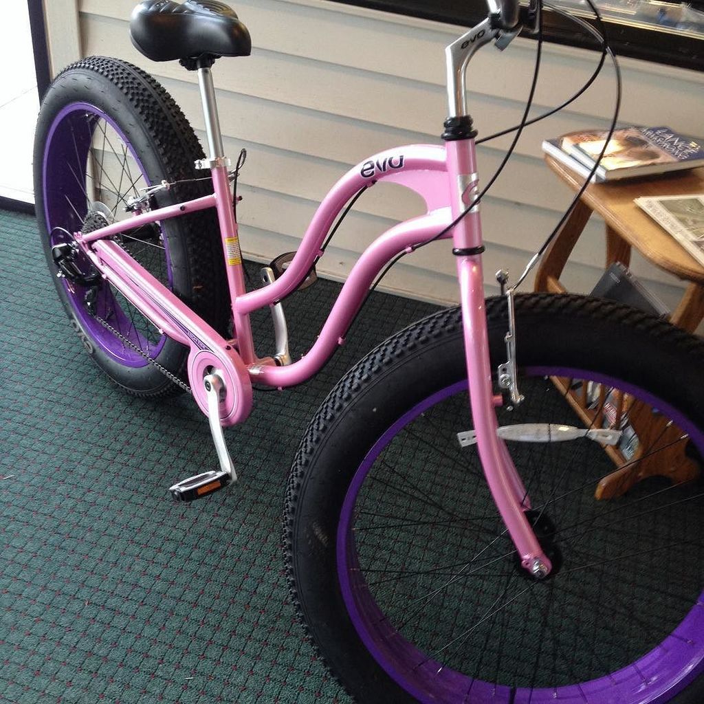 evo brewster fat bike