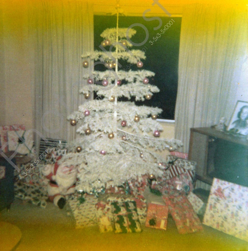 PhotoGhostSnaps tweet picture