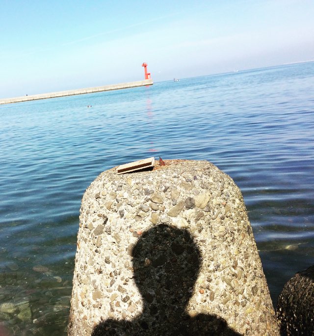 天気もいいから息抜きに海です
#はっぴいえんど#暗闇坂むささび変化