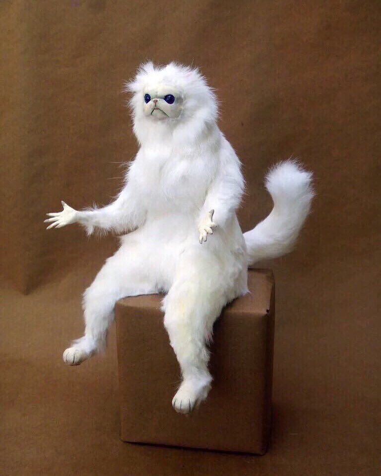 TheBsblr's tweet photo. When your throwing partner sails one 30 feet over your head... https://t.co/0rJDizqI27