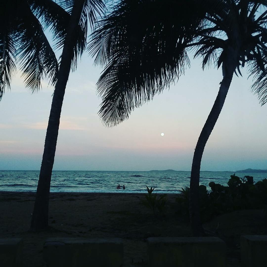 #🇵🇷
