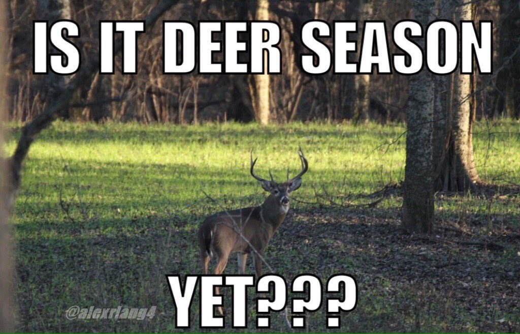 DixielandGent's tweet photo. RT if you miss deer season! https://t.co/gymh3h2Yva