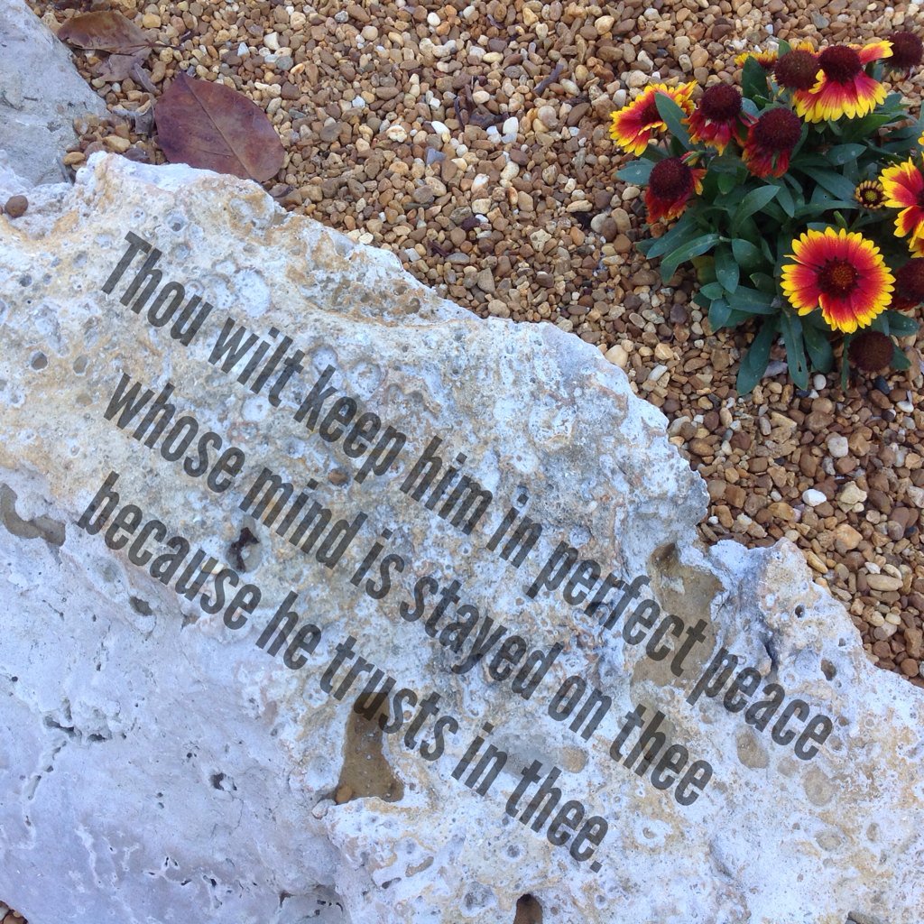 abc_thrive's tweet image. 